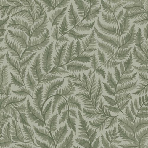 Ferns 7792